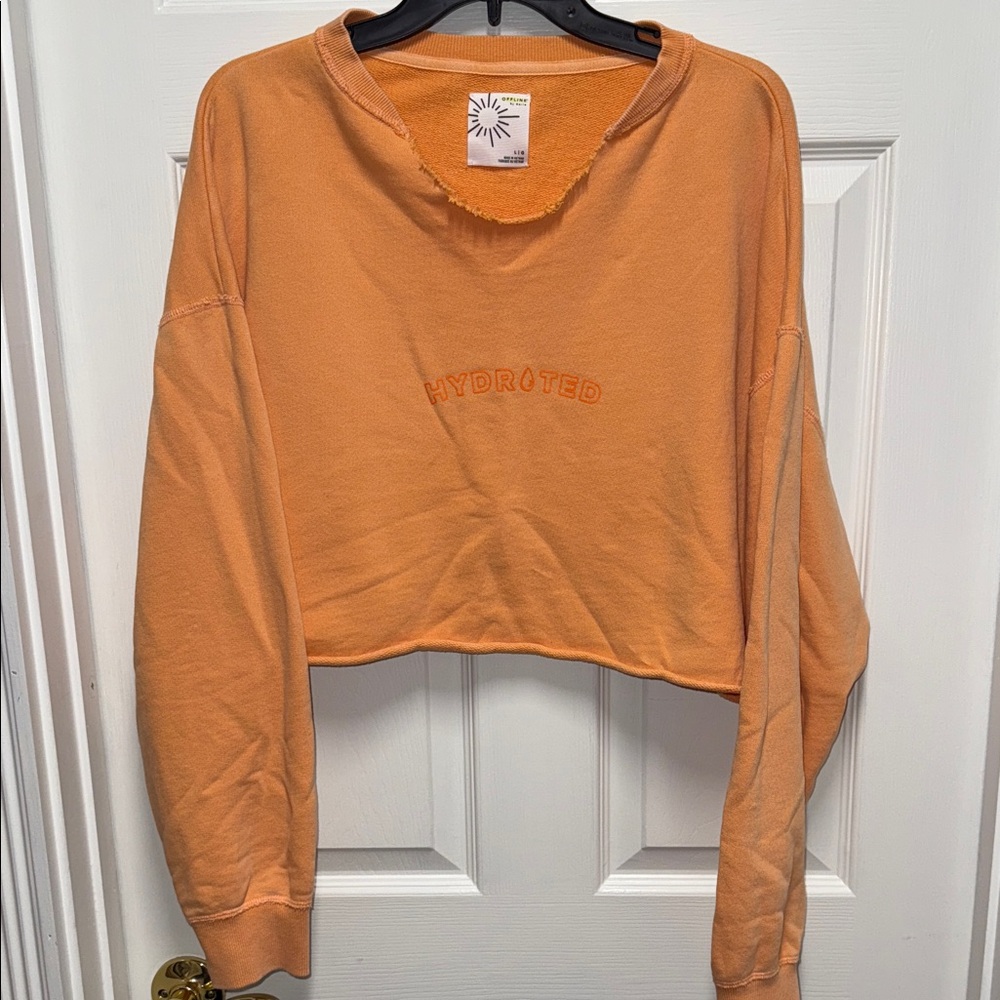 EUC offline by Aerie crop sweatshirt size L